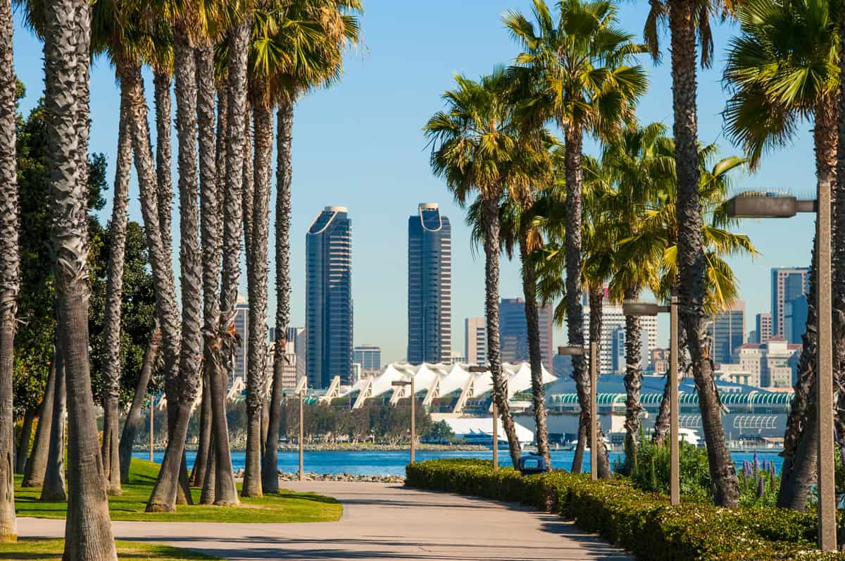 Globea San Diego skyline and palm trees scene